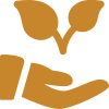 <h3><strong>Timeless Preservation</strong></h3>